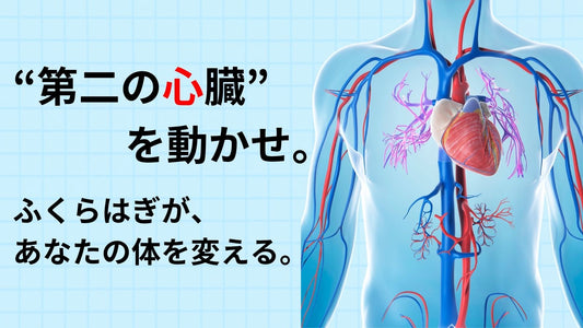 “第二の心臓”を動かせ。立つだけで全身が変わる——GREOストレッチボード